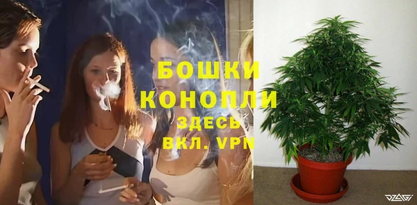 дживик Балабаново