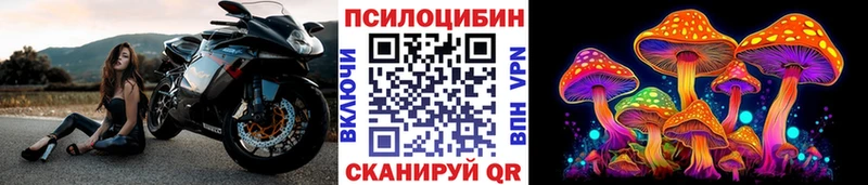 Псилоцибиновые грибы Magic Shrooms Новоульяновск